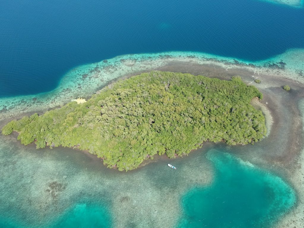 Want To Buy An Island Let S Buy An Island Want To Buy An Island Let S Buy An Island