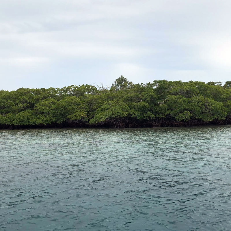 Secret Island Placencia, Belize 300,000 Let's Buy An Island