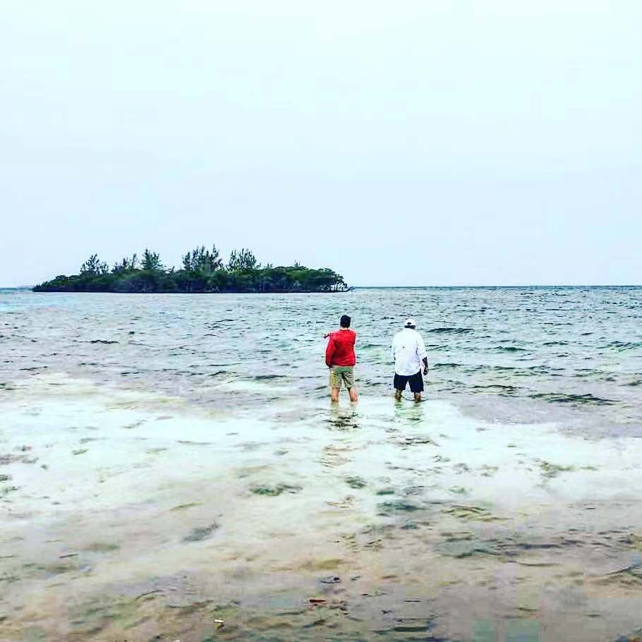 Buying An Island Regardless And What That Means In Practical Terms Buying An Island Regardless And What That Means In Practical Terms