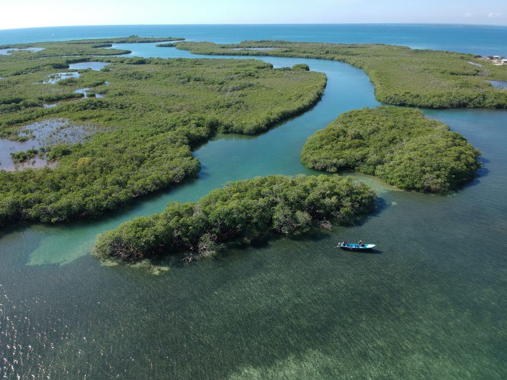 Let’s Buy An Island all eyes forward! Let's Buy An Island