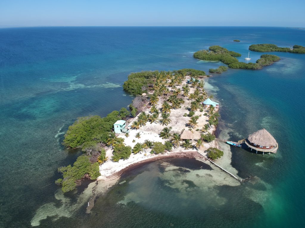 Who S Running Let S Buy An Island Let S Buy An Island Who S Running Let S Buy An Island Let S Buy An Island