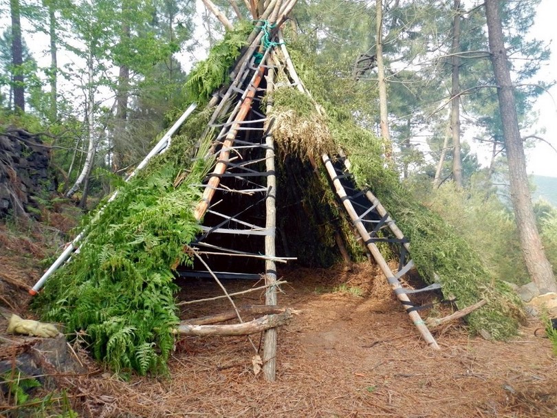 how to survive on a desert island