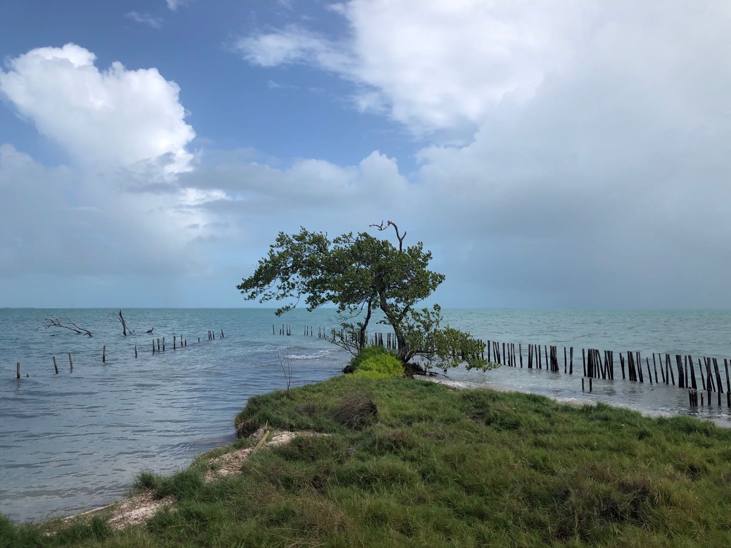 How to Successfully Buy An Island? Let's Buy An Island