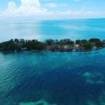 Sell your island