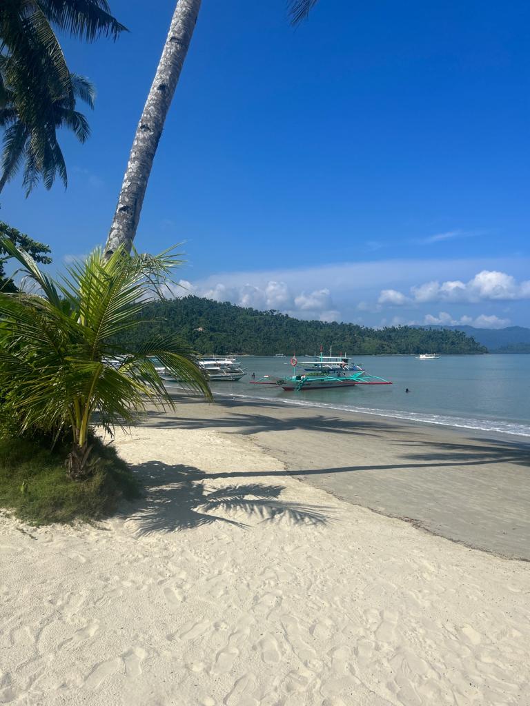Can you buy an island in Palawan? Let's Buy An Island